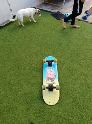 Skate para niños Decathlon