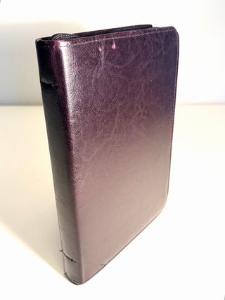 Santa Biblia R. Valera 1960 C/funda