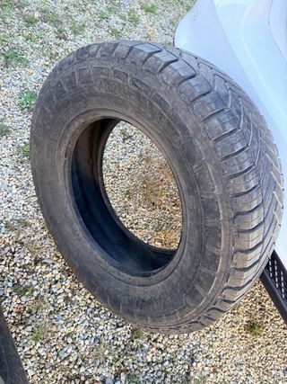 Ruedas Michelin Agilis CrossClimate