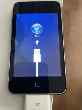 iPod Apple Negro/Plateado