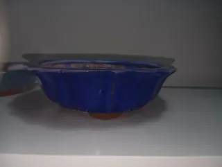 2 Maceta bonsai cerámica azul chinas y circular.