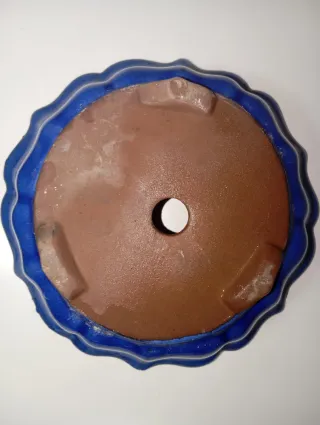 2 Maceta bonsai cerámica azul chinas y circular.