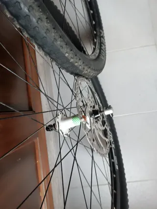 Juego Ruedas 29 Fat Bike (135-170 QR)