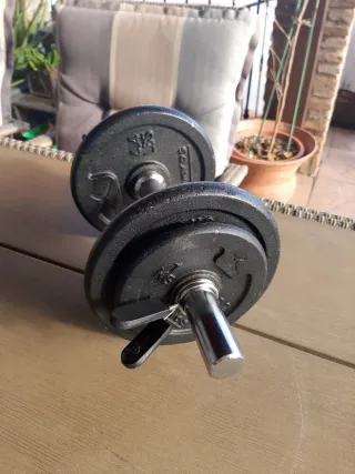 Mancuerna Domyos 8kg