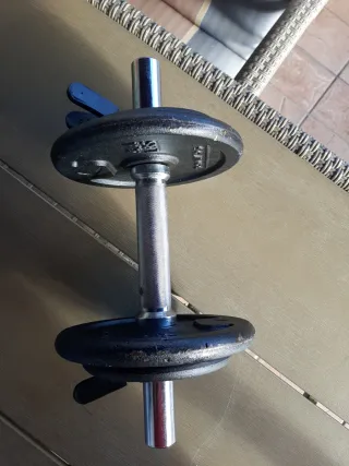 Mancuerna Domyos 8kg