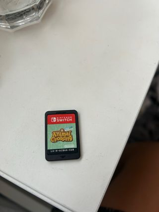 Animal Crossing New Horizons Nintendo Switch