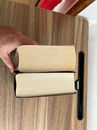 Las tinieblas y el alba (La precuela de Los pil...