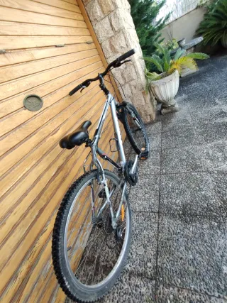 Bicicleta de Montaña color plara se vende todavia