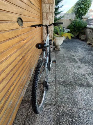 Bicicleta de Montaña color plara se vende todavia