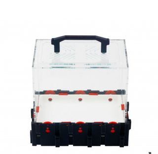 Kit Hormiguero Anthouse