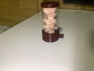 Kit Hormiguero Anthouse