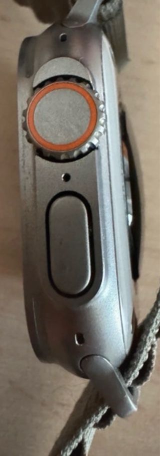 Apple Watch Ultra Gris/Plata