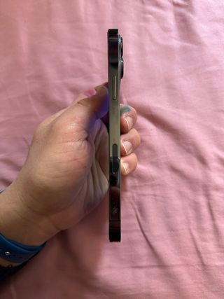 iPhone 13 Pro Max Transparente