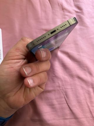 iPhone 13 Pro Max Transparente