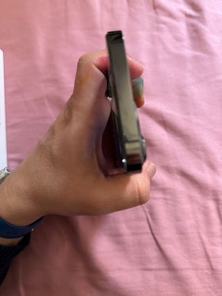 iPhone 13 Pro Max Transparente