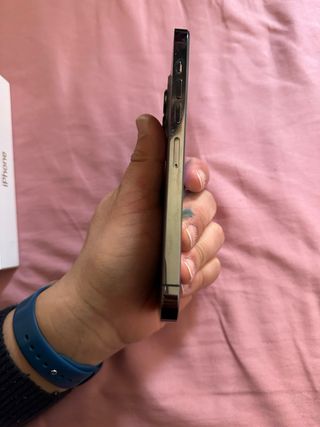 iPhone 13 Pro Max Transparente