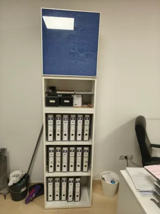 Muebles salón y oficina blanco