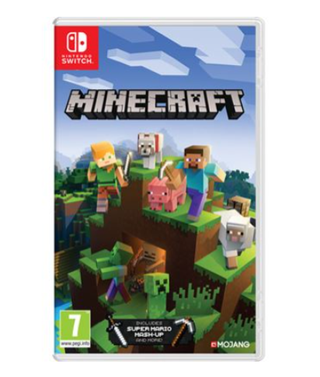 Minecraft Nintendo Switch