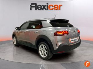 Citroën C4 Cactus BlueHDi 73KW (100CV) Business