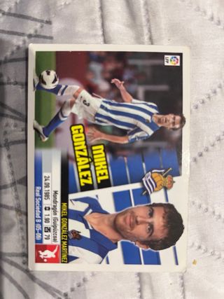 Cromos Panini Fútbol Temporada 2013-2014