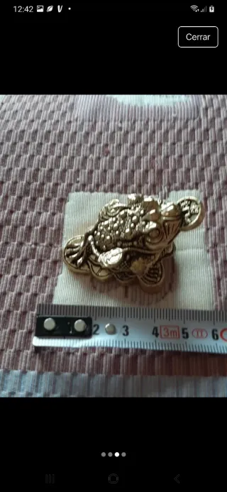 Sapo de la Fortuna y Prosperidad