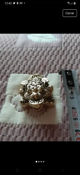 Sapo de la Fortuna y Prosperidad