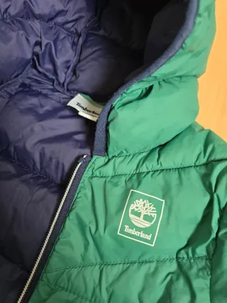 Casaco/Kispo Timberland Verde