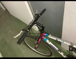 Bicicleta Legnano Paseo