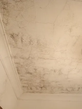 busco chica para limpieza de techos con humedades