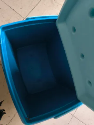 Borsa picnic plastica rigida blu