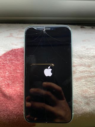 iPhone 11 256GB Verde (Batteria Danneggiata)