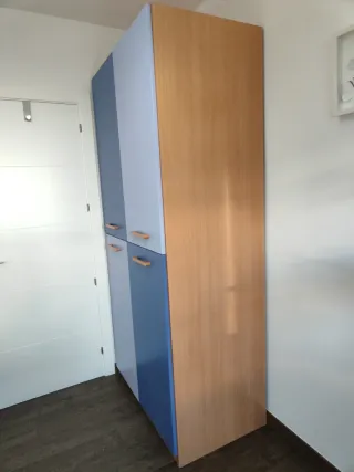 Mueble modular: armario, escritorio y estantería