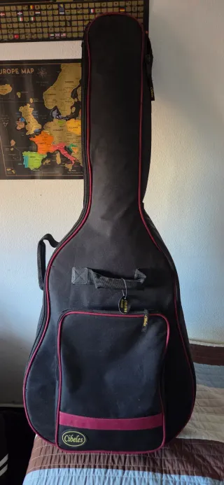 Guitarra Electroacústica Ashton Negra