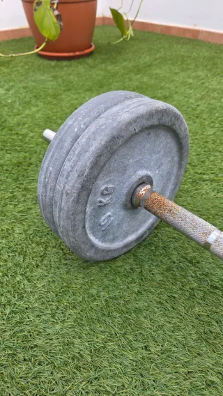 Barra y discos pesas