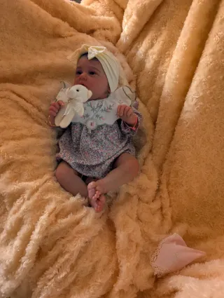 Reborn realizada con genesis