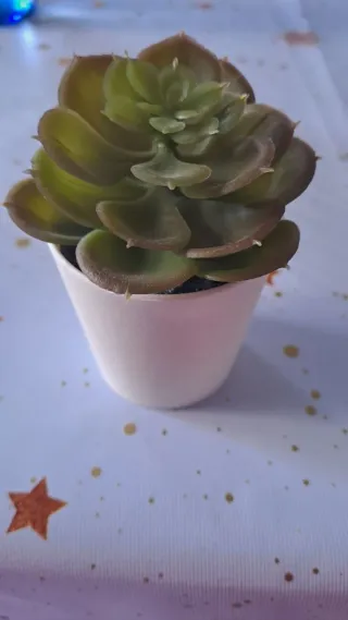 Pack 3 Plantas Decorativas Ikea