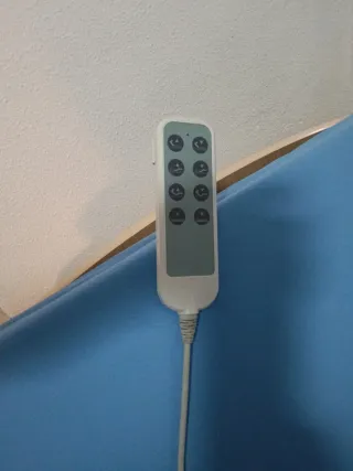 Cama geriátrica articulada