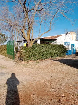 Finca de olivar y casa de campo en Valdepeñas C R
