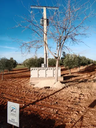 Finca de olivar y casa de campo en Valdepeñas C R