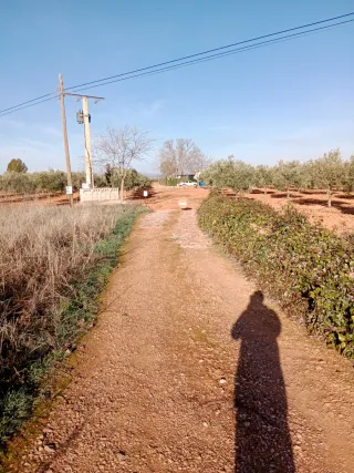 Finca de olivar y casa de campo en Valdepeñas C R