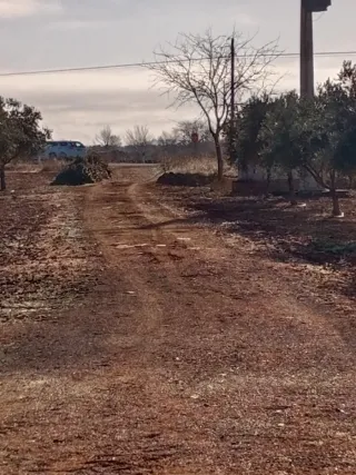 Finca de olivar y casa de campo en Valdepeñas C R