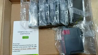 Cartucce Epson 2991XL BK e Magenta