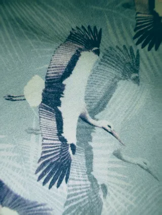 2 Camisas XXL The Wonderful Life of Humanity