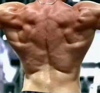 Barra Remo Agarre Ancho Cromado