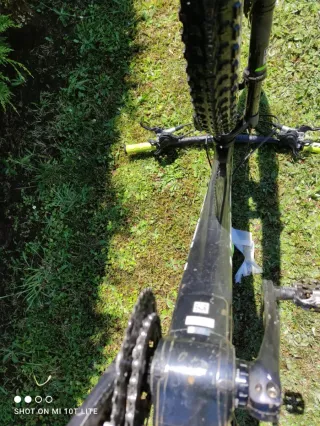 Bicicleta Carbono Talla L Cambio por carretera