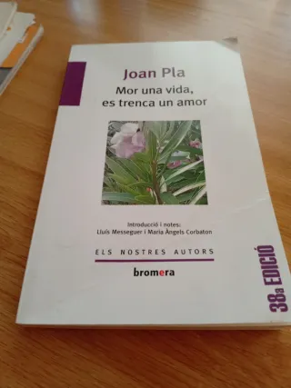 Mor una vida, es trenca un amor