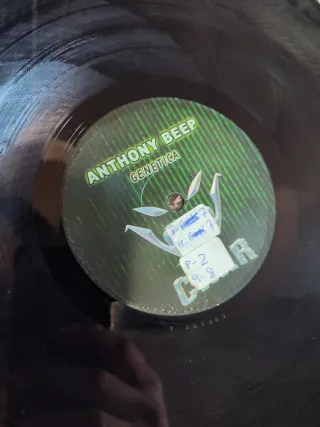 Anthony Beep - Genetica