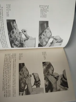 Libro Trucaje Motores 4 Tiempos