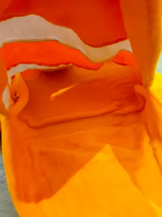 Saco dormir niño pez payaso