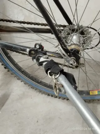 Remolque Carro Bicicleta Niños